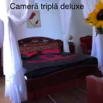 Complex Gec-histria Complex Mamaia